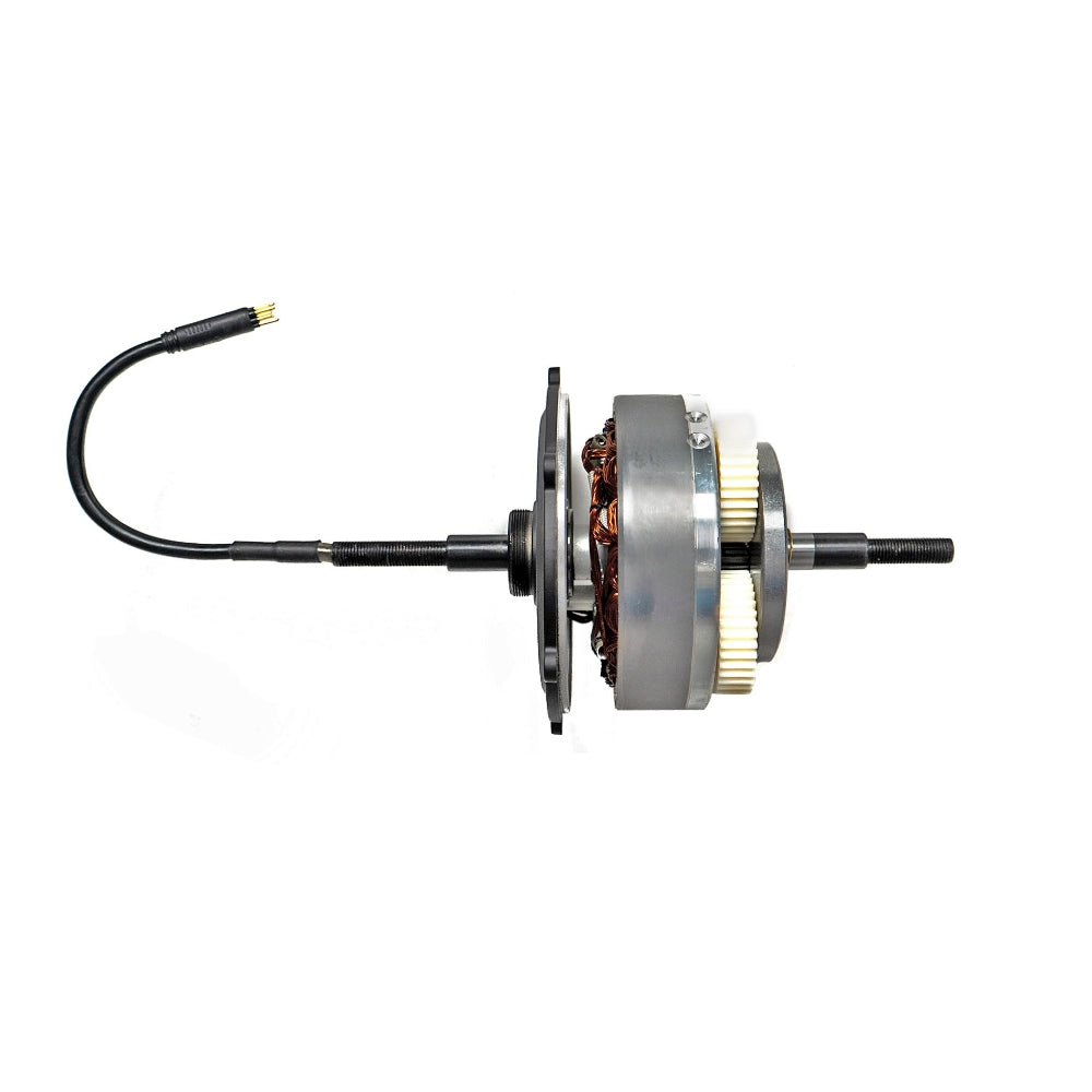 Engwe L20 SE Electric Bike Motor - Buybestgear