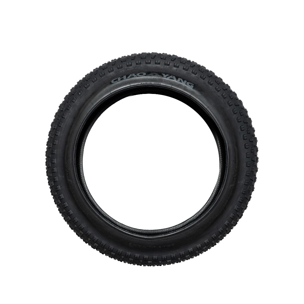 Engwe L20 SE Electric Bike Tire - Buybestgear