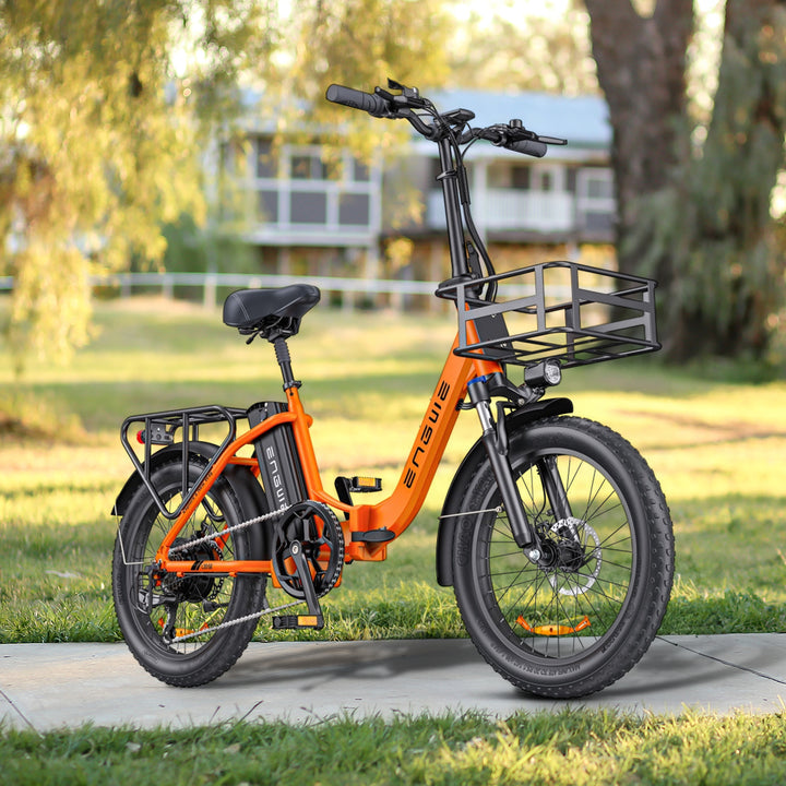 Engwe L20 SE 250W 20" Foldable Electric Bike 561Wh Trekking Bike Step-through E-bike 36V 15.6Ah Battery