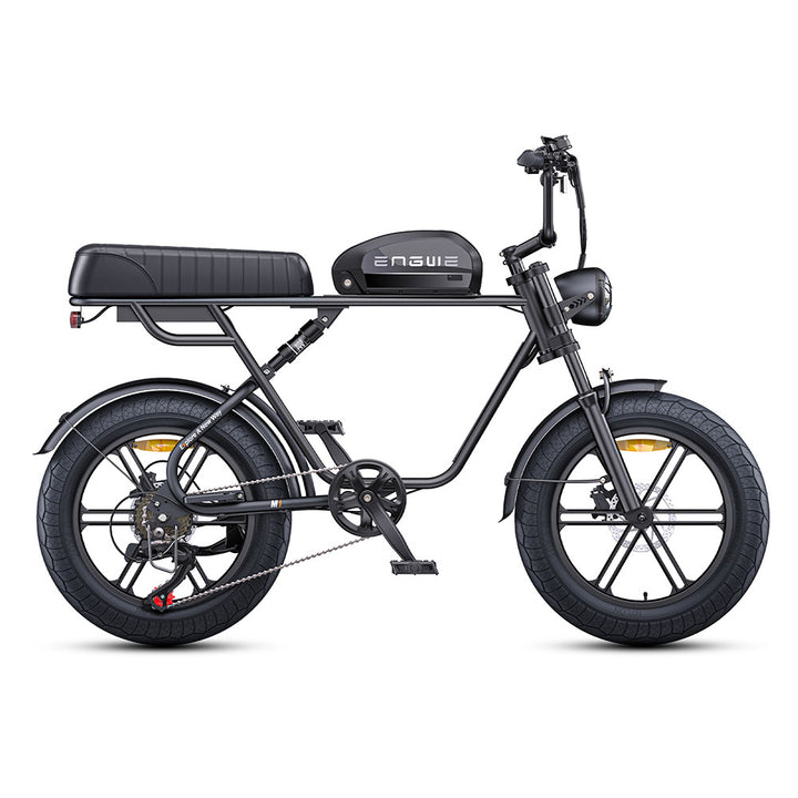 Engwe M1 250W Electric Fat Bike 20" Dual Batteries Retro E-bike - Buybestgear