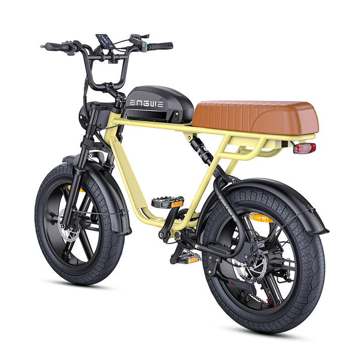 Engwe M1 250W Electric Fat Bike 20" Dual Batteries Retro E-bike - Buybestgear