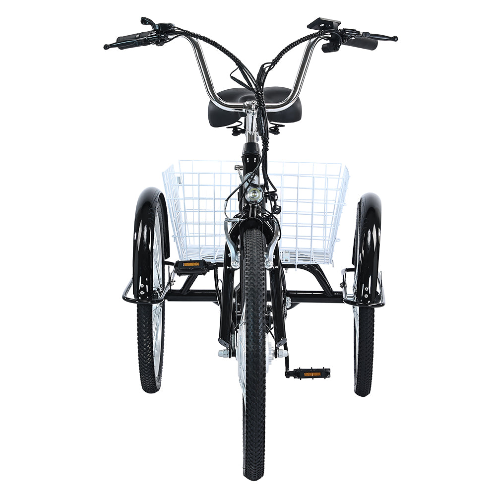 GOGOBEST GF100 350W 24" Electric Cargo Tricycle 540Wh E-bike 36V 15Ah Battery - Buybestgear