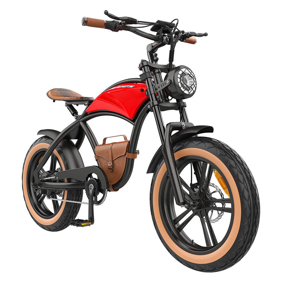 Hidoes B10 1000W 20" Fat Bike 600Wh Electric Bike 48V 12.5AH Battery - Buybestgear