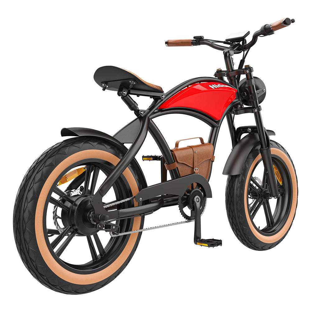 Hidoes B10 1000W 20" Fat Bike 600Wh Electric Bike 48V 12.5AH Battery - Buybestgear