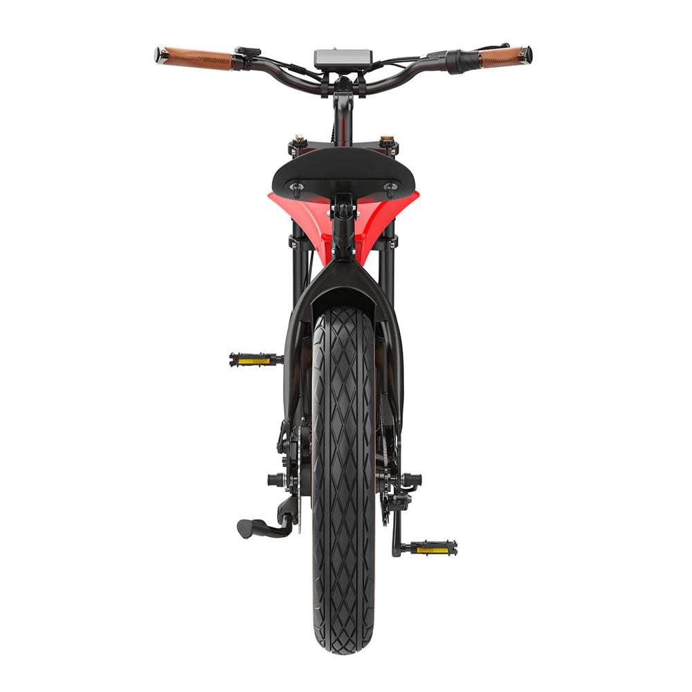 Hidoes B10 1000W 20" Fat Bike 600Wh Electric Bike 48V 12.5AH Battery - Buybestgear