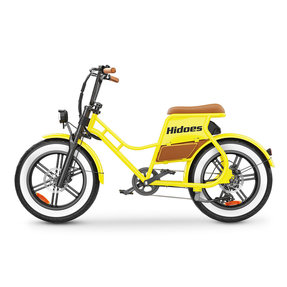 Hidoes C8 750W 20" Fat Bike 816Wh Electric Bike 48V 17AH Battery - Buybestgear