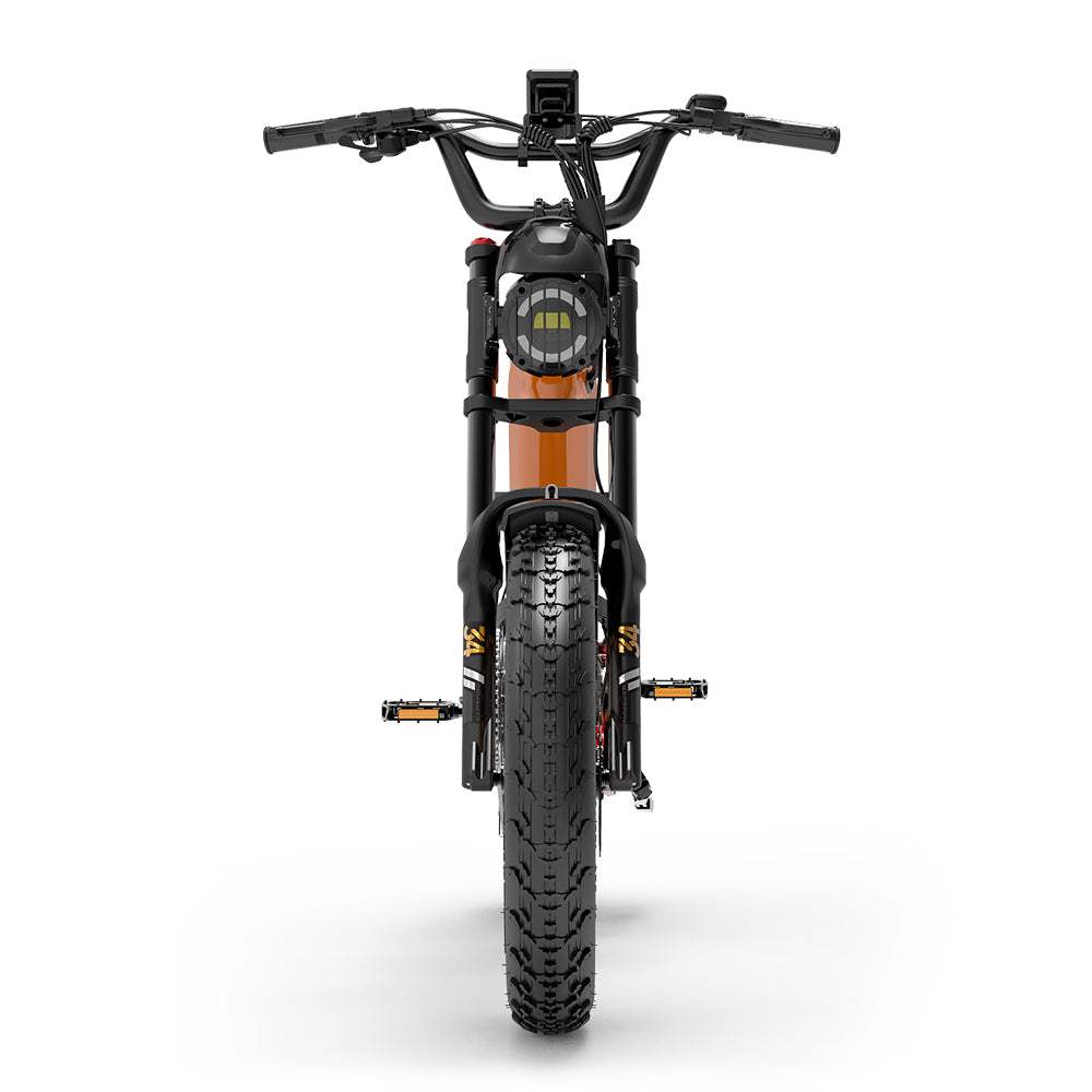 Lankeleisi RX800 Plus 1000W 20" Fat Bike 960Wh Full Suspension Electric Bike 48V 20Ah Battery SUV E-Bike - Buybestgear