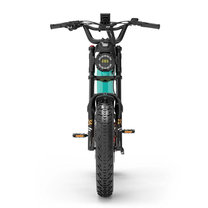 Lankeleisi RX800 Plus 1000W 20" Fat Bike 960Wh Full Suspension Electric Bike 48V 20Ah Battery SUV E-Bike - Buybestgear