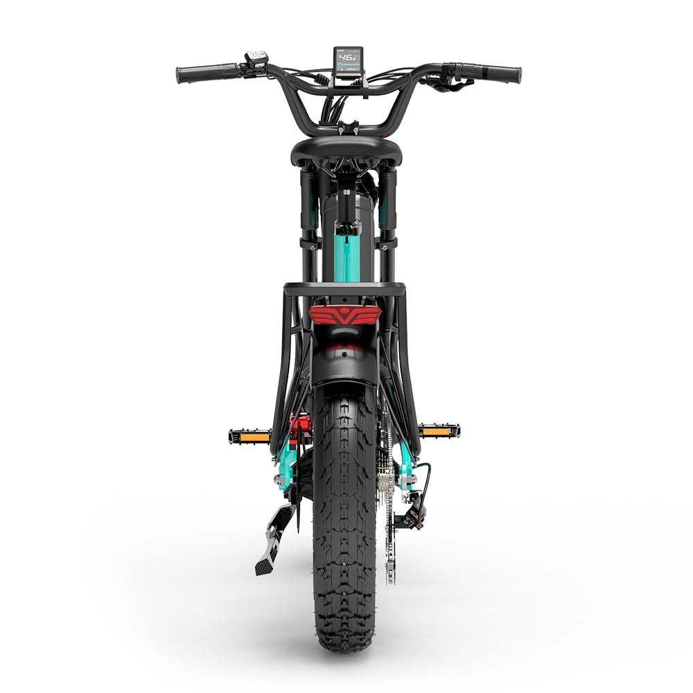 Lankeleisi RX800 Plus 1000W 20" Fat Bike 960Wh Full Suspension Electric Bike 48V 20Ah Battery SUV E-Bike - Buybestgear