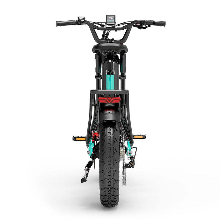 Lankeleisi RX800 Plus 1000W 20" Fat Bike 960Wh Full Suspension Electric Bike 48V 20Ah Battery SUV E-Bike - Buybestgear