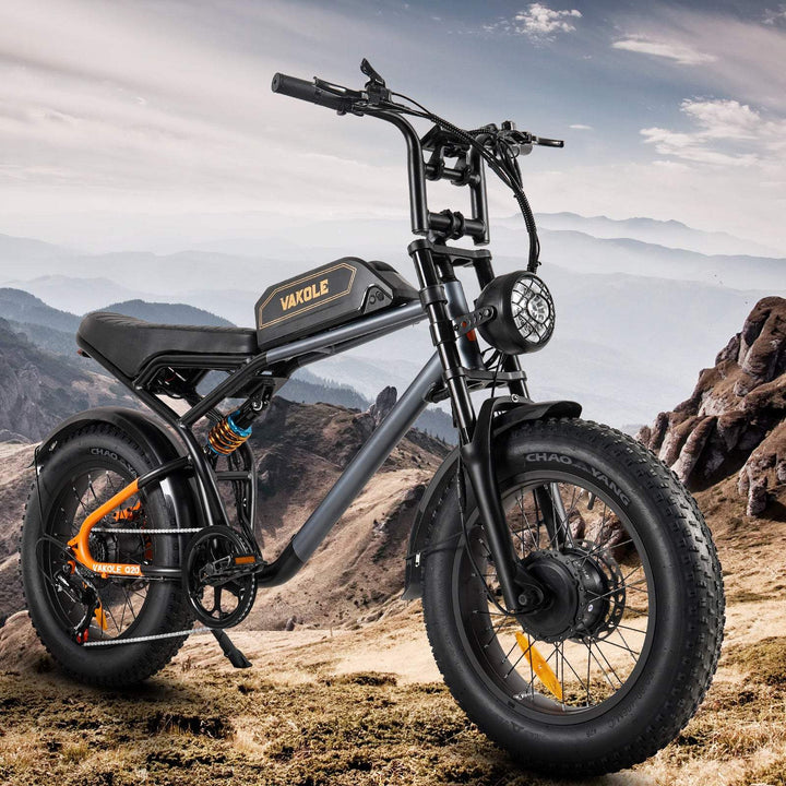 Vakole Q20 MAX 750W*2 Dual Motor 20" Fat Bike 960Wh Full Suspension E-Mountain Bike 48V 20Ah Battery