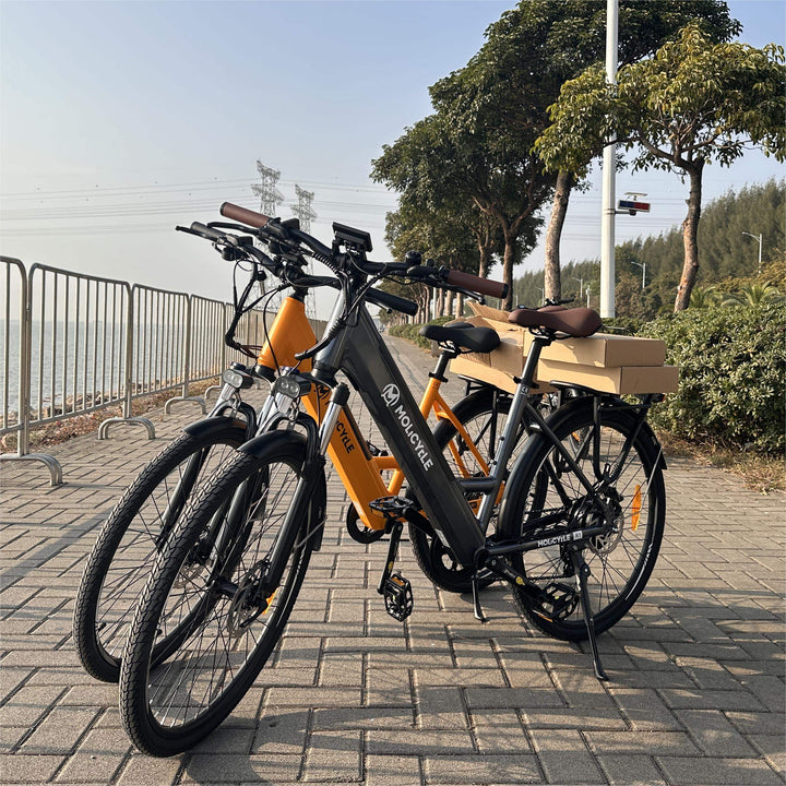 Molicycle R1 * 2 E-Bikes Bundle