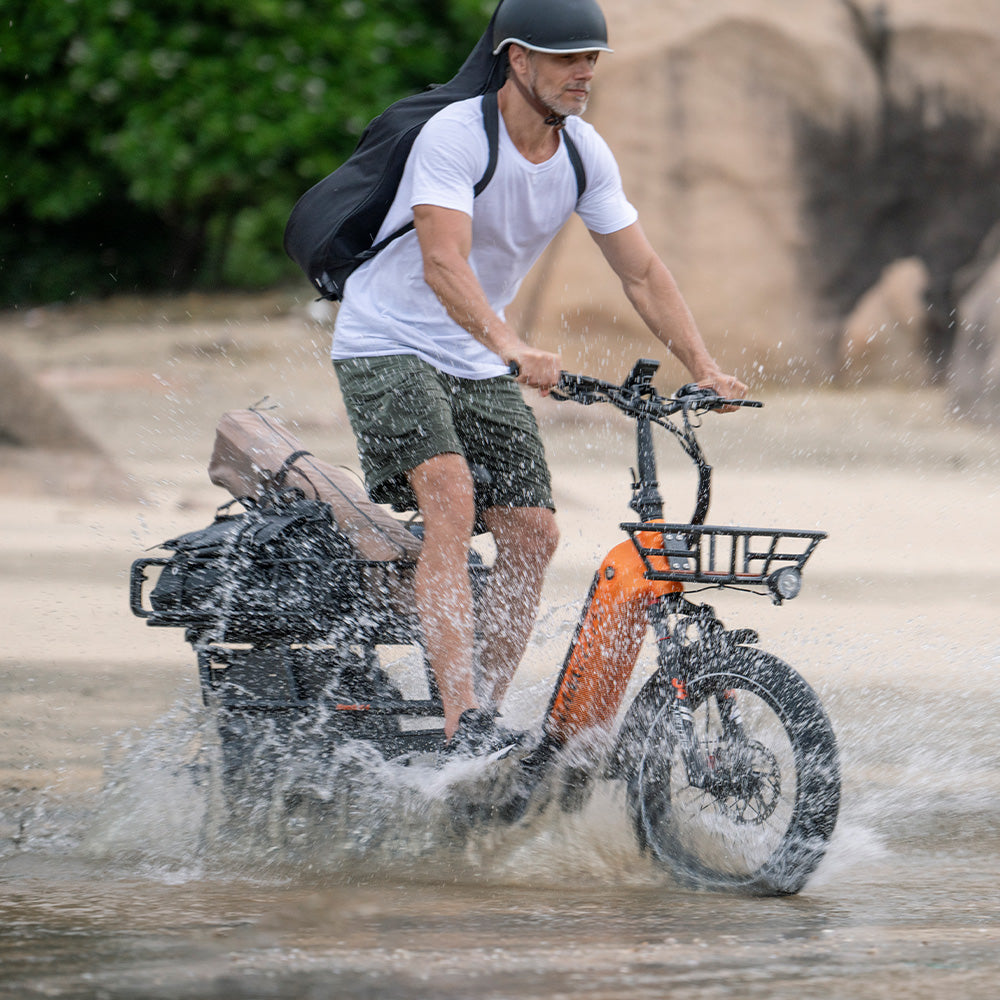 Lankeleisi Wombat-1 1000W 20" Longtail Bicicleta Eléctrica de Carga con Sensor de Torsión y Batería Samsung de 20Ah