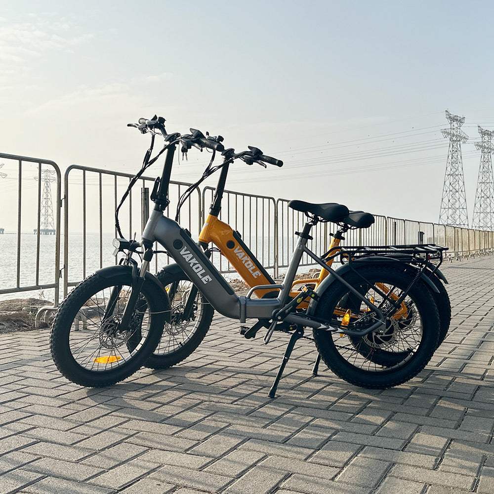 Vakole VT4 * 2 E-Bikes Bundle - Buybestgear